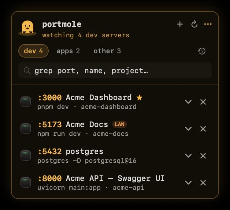 Portmole in the Amber theme on the Dev tab, with the dev 4, apps 2 and other 3 tabs above a list of four dev servers.