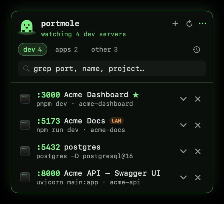 Portmole panel in the Terminal theme listing four dev servers: Acme Dashboard on :3000 (starred, started with pnpm dev), Acme Docs on :5173 with a LAN badge, postgres on :5432 and Acme API on :8000.